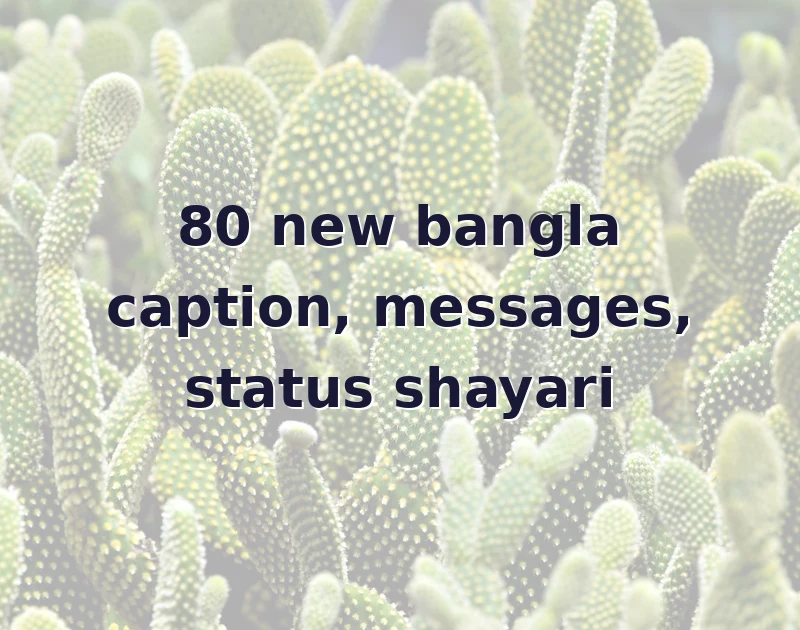 new bangla caption