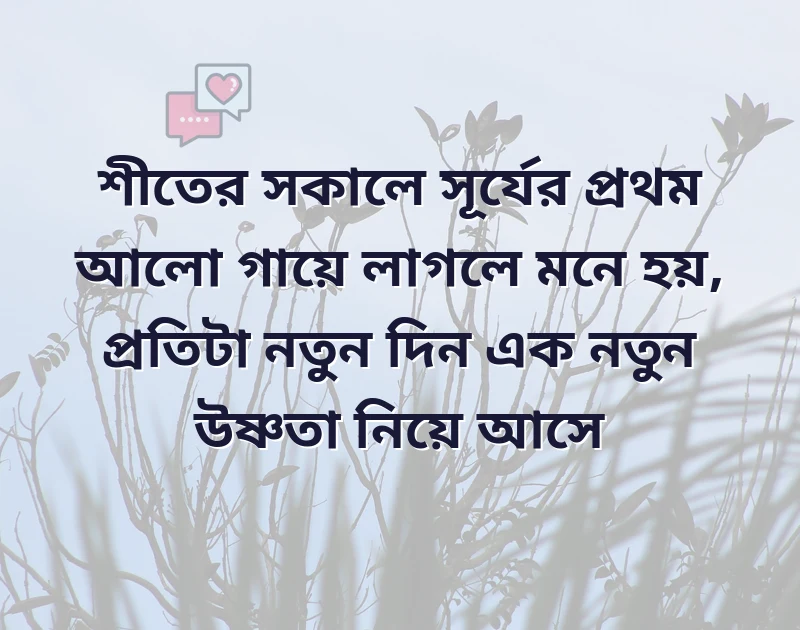 মন ছুঁয়ে যাওয়া ছবি