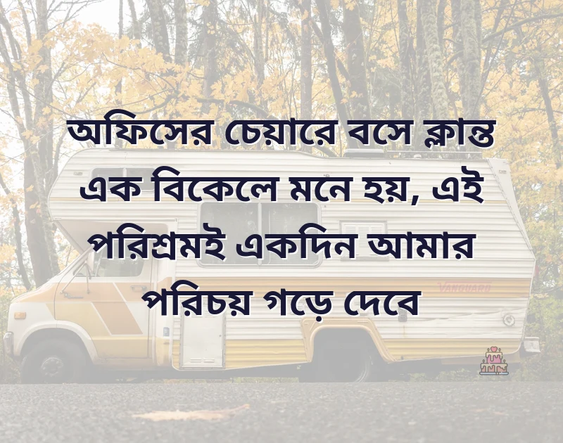 মন ছুঁয়ে যাওয়া ছবি