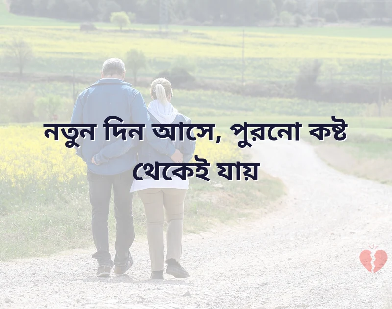 সুন্দর একটি ছবি