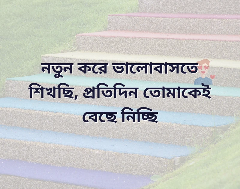 শেয়ার করার মতো ছবি