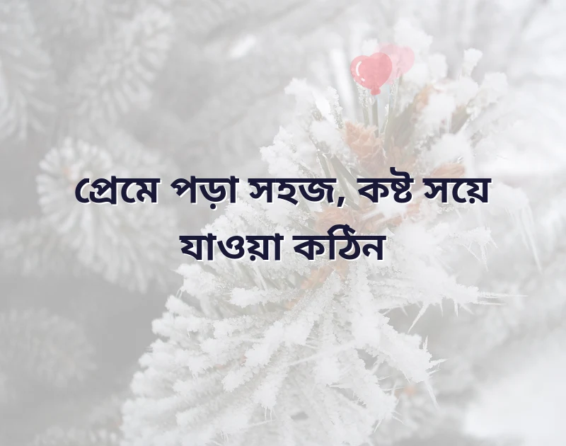 প্রেমের কষ্টের পিক