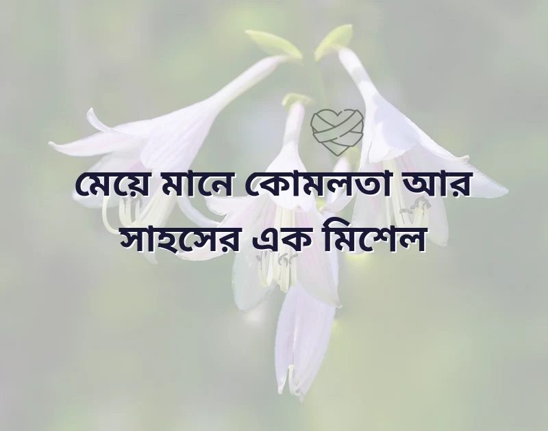 প্রোফাইল বায়ো
