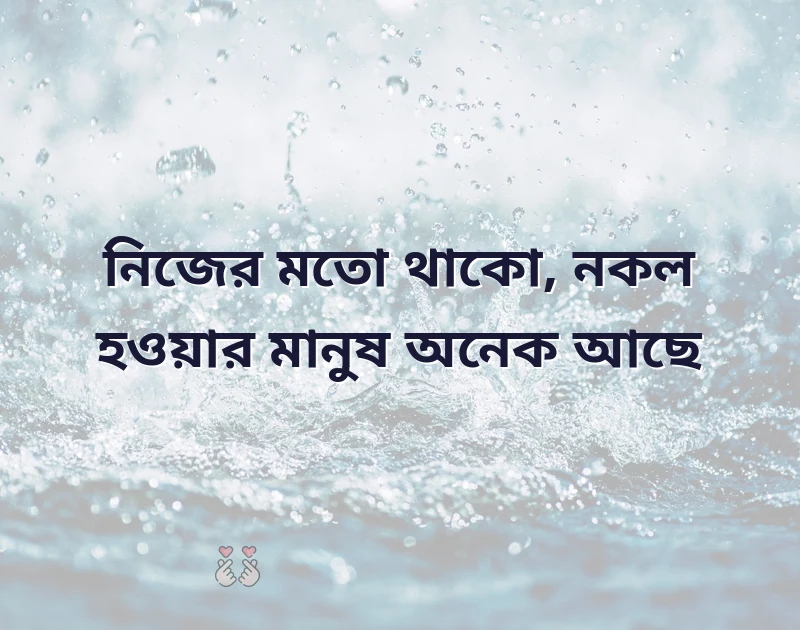 মন ছুঁয়ে যাওয়া ছবি