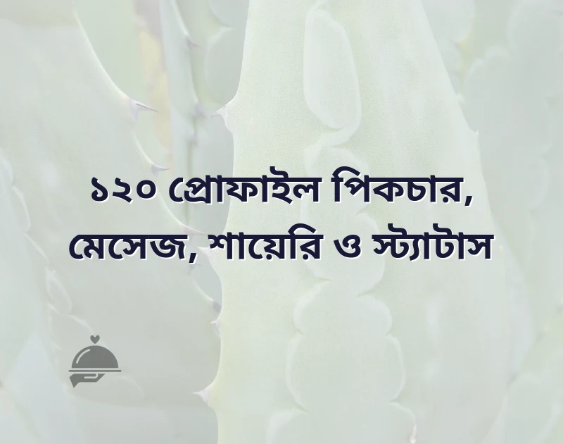 প্রোফাইল পিকচার