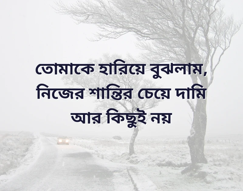 পছন্দের একটি ছবি