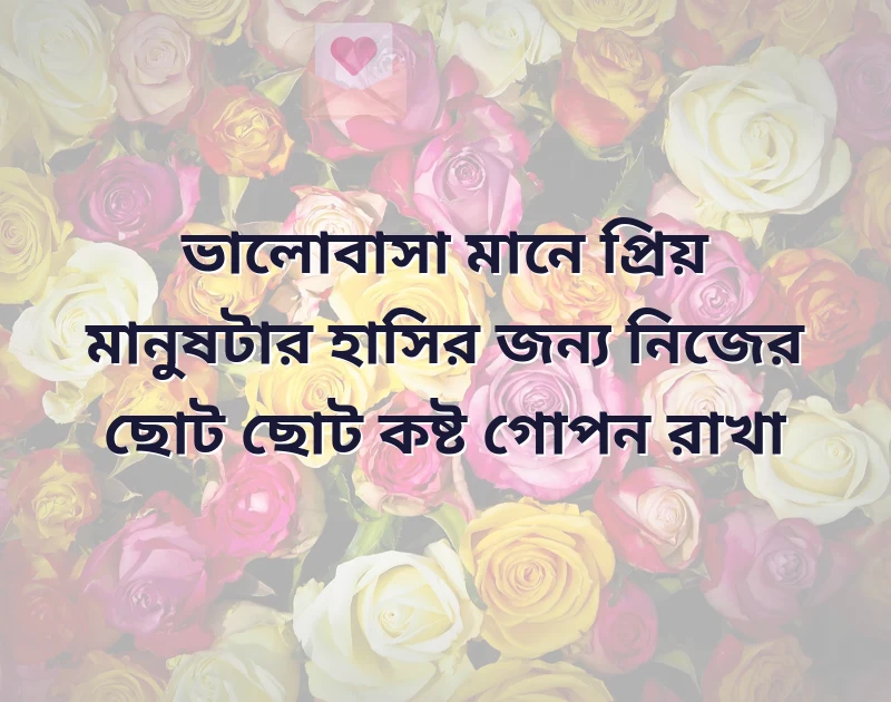 আকর্ষণীয় একটি ছবি