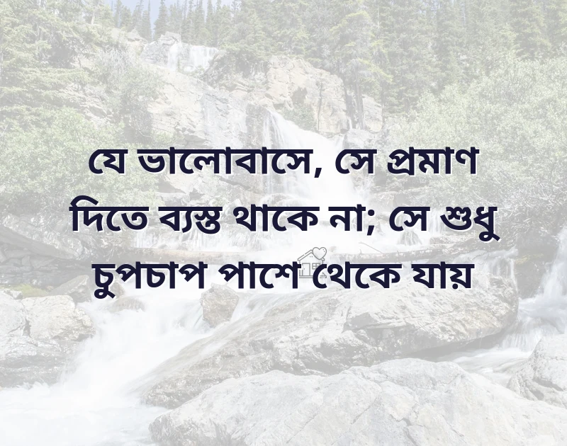 আকর্ষণীয় একটি ছবি