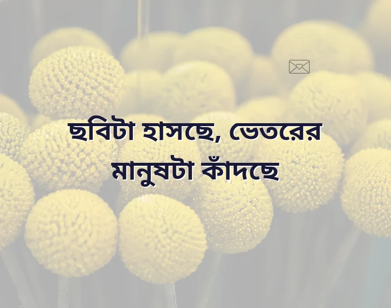 পছন্দের একটি ছবি