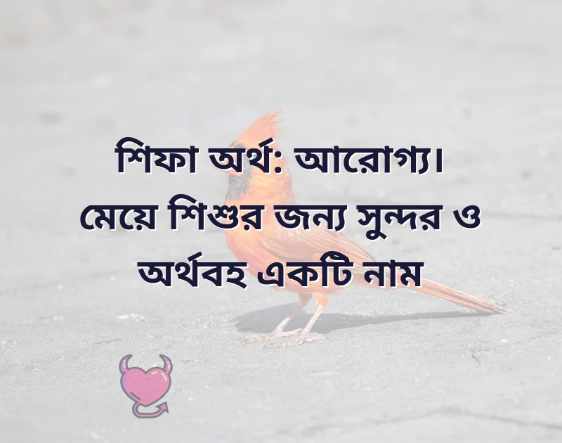শ দিয়ে মেয়েদের ইসলামিক নাম