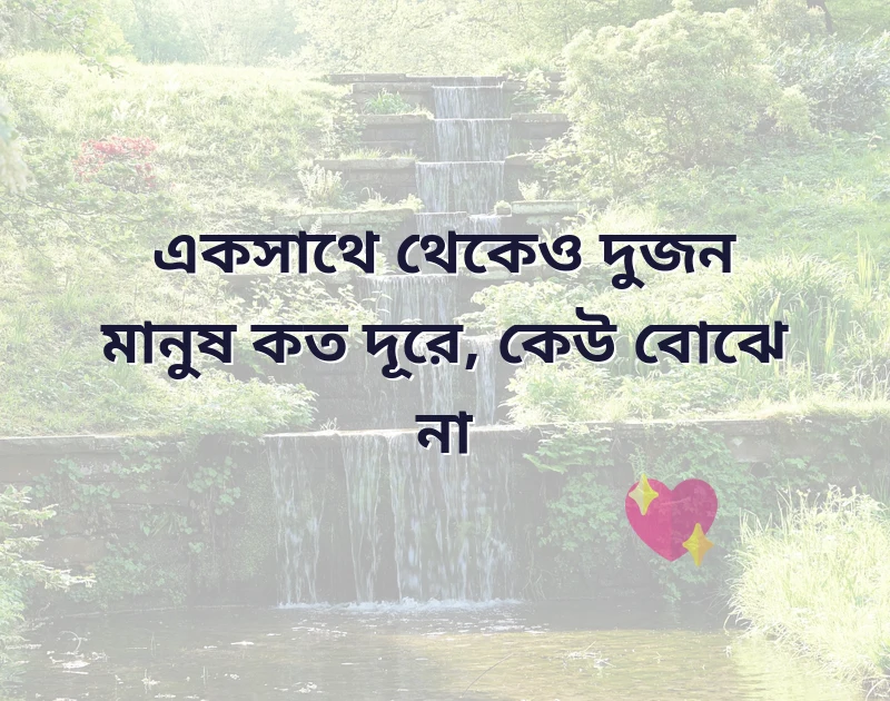 স্বামী স্ত্রীর কষ্টের স্ট্যাটাস