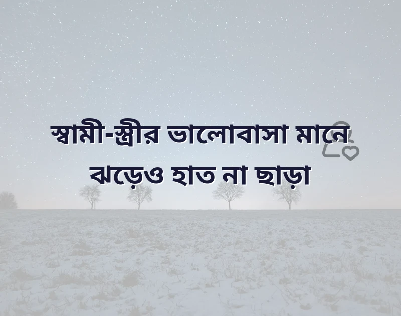 আকর্ষণীয় একটি ছবি