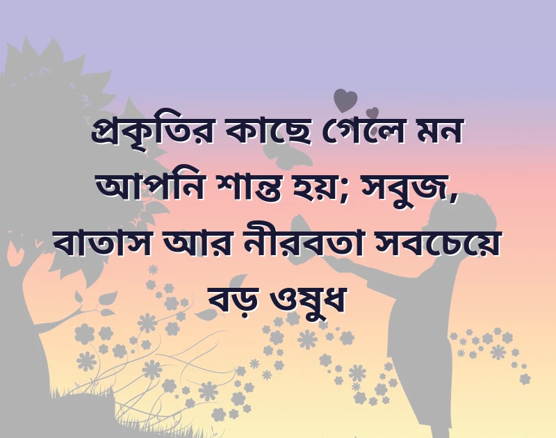 পছন্দের একটি ছবি