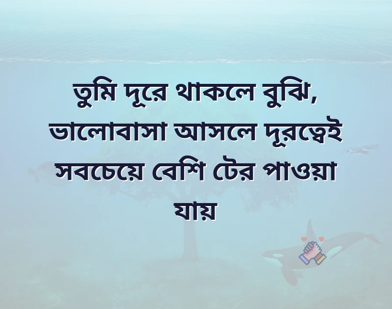 দারুণ একটি ছবি