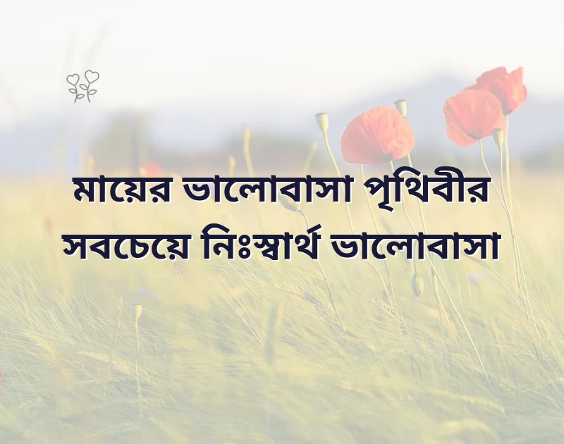শেয়ার করার মতো ছবি