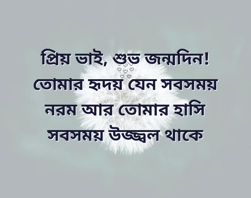 পছন্দের একটি ছবি