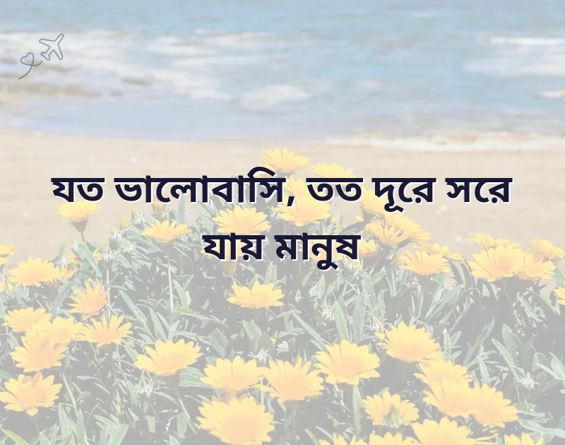 মন ছুঁয়ে যাওয়া ছবি