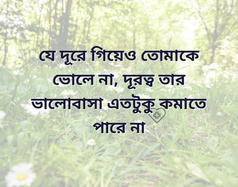 পছন্দের একটি ছবি