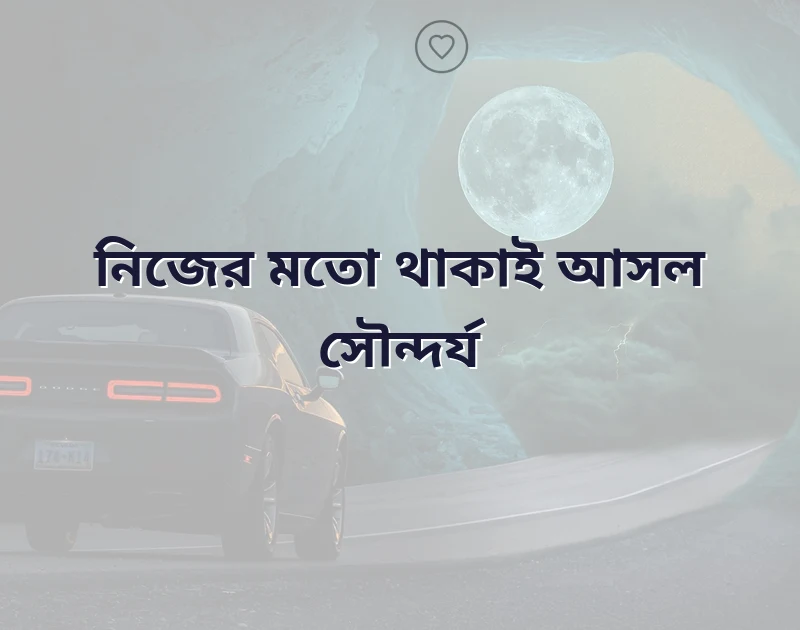 সুন্দর মেয়েদের প্রোফাইল পিক