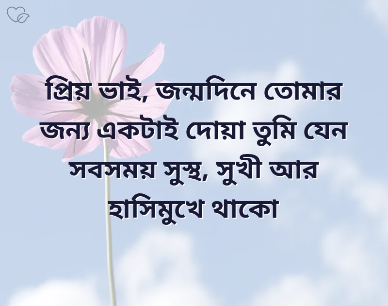 vai birthday wish bangla