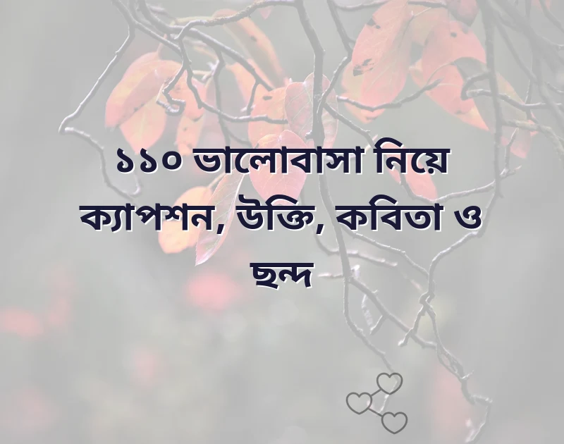ভালোবাসা নিয়ে ক্যাপশন