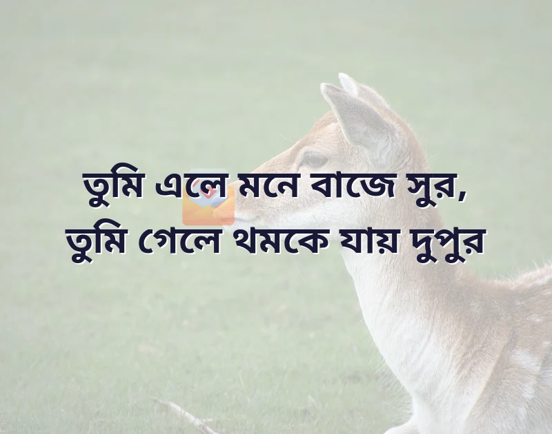 ভালোবাসার ছন্দ