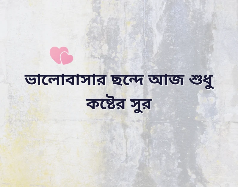 মন ছুঁয়ে যাওয়া ছবি