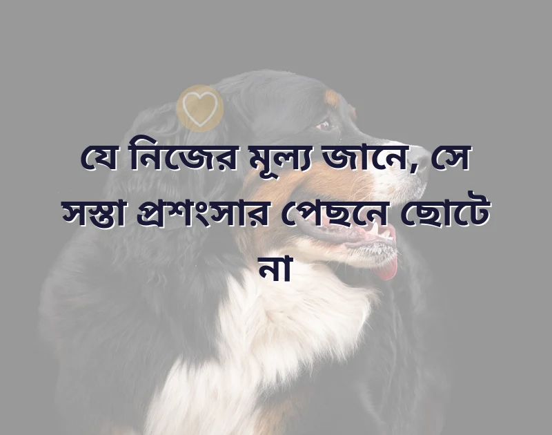 আকর্ষণীয় একটি ছবি