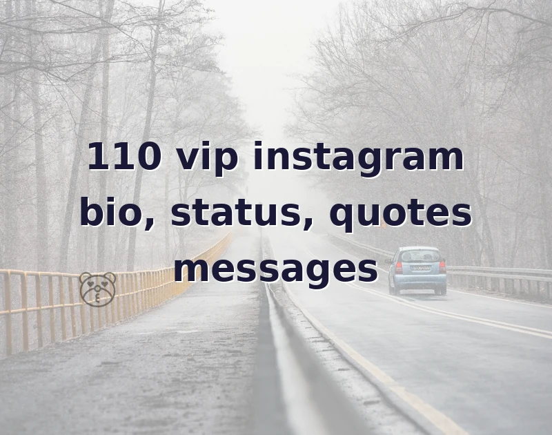 vip instagram bio