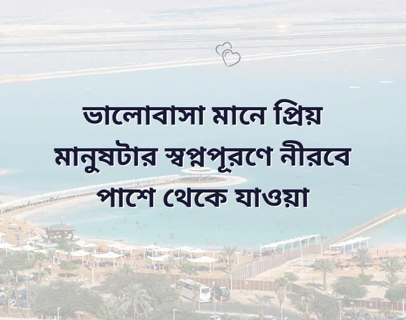 সুন্দর একটি ছবি