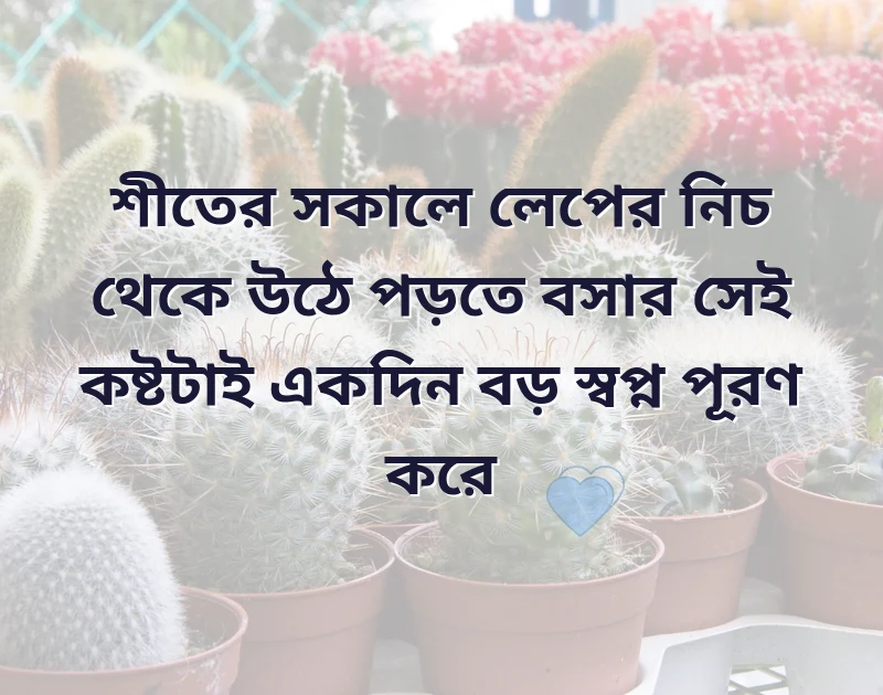 whatsapp bio bengali stylish