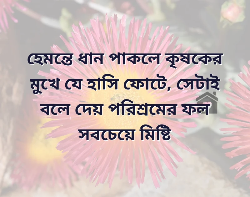whatsapp bio in bengali