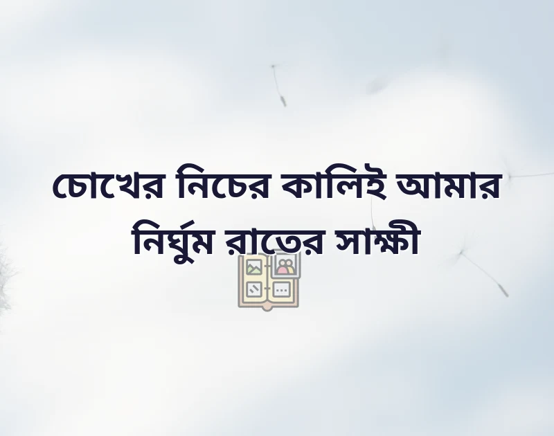 সুন্দর একটি ছবি