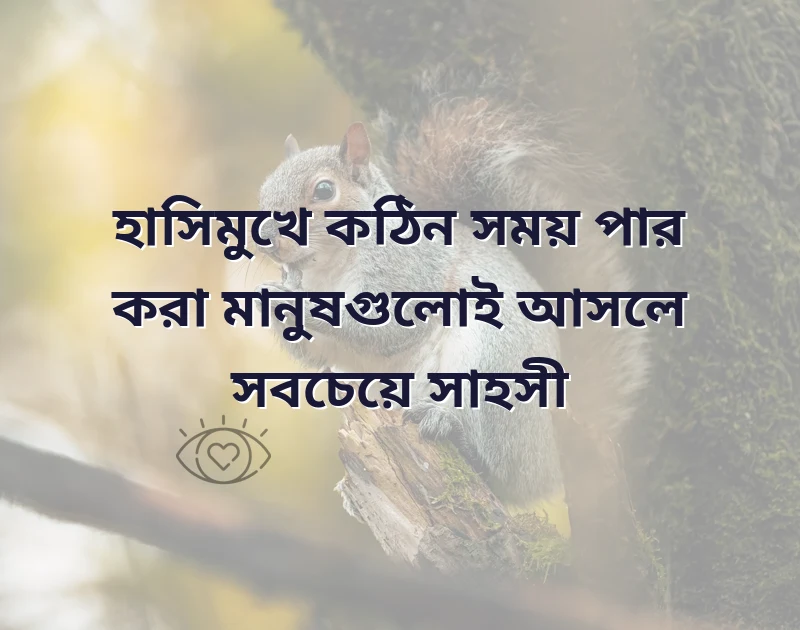 শেয়ার করার মতো ছবি