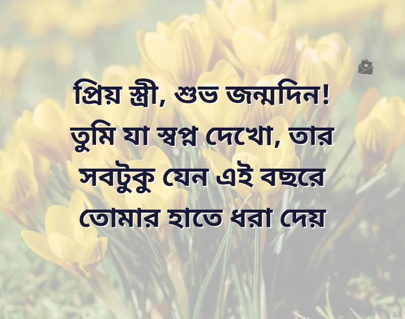 wife birthday wish bangla