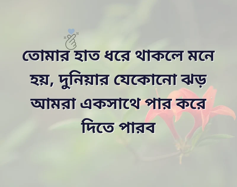 সুন্দর একটি ছবি