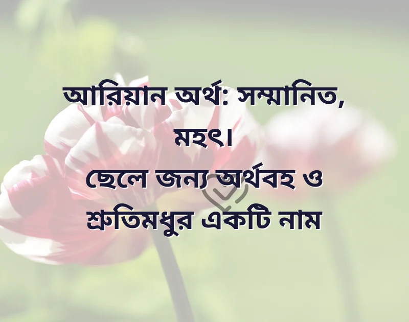 পছন্দের একটি ছবি