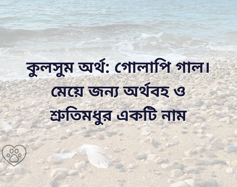 সুন্দর একটি ছবি