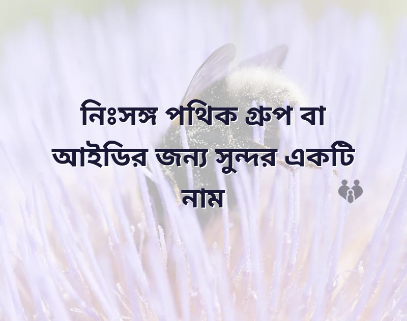 আবেগী ফেসবুক আইডির নাম ছেলেদের
