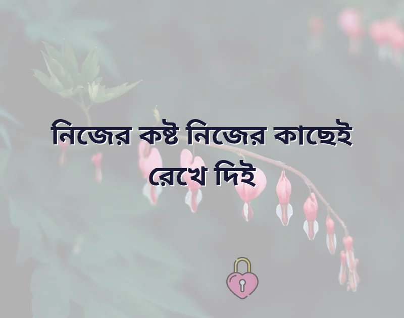 আকর্ষণীয় একটি ছবি