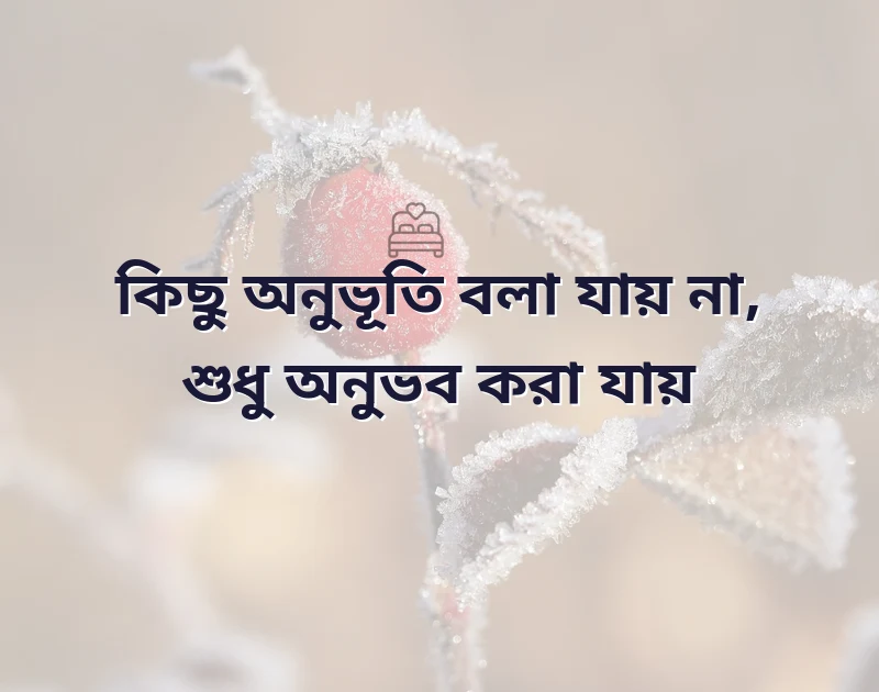 আবেগি কষ্টের স্ট্যাটাস