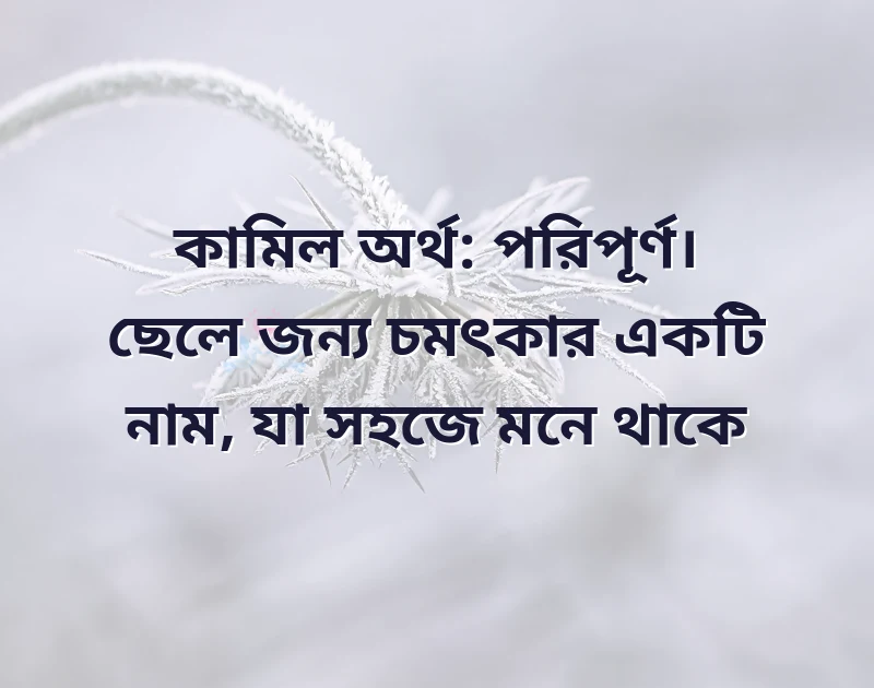 মন ছুঁয়ে যাওয়া ছবি