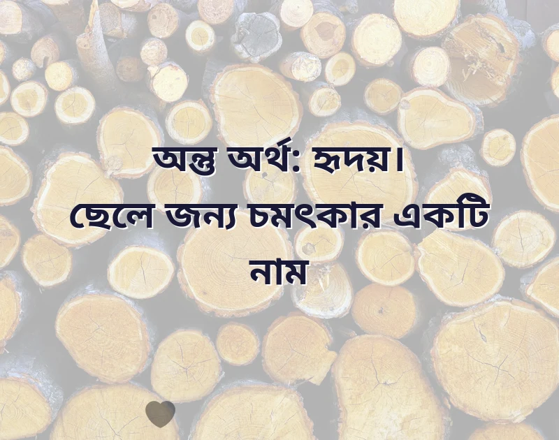 দারুণ একটি ছবি