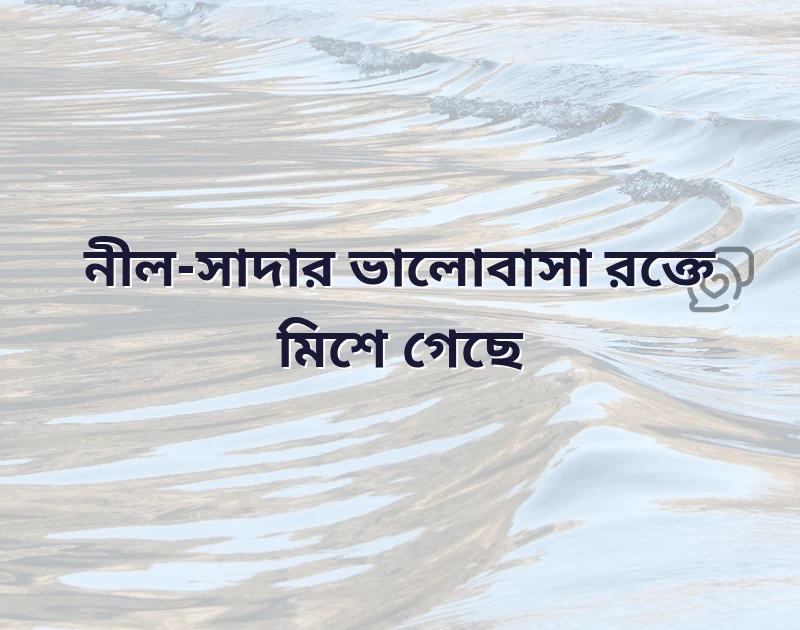 মন ছুঁয়ে যাওয়া ছবি