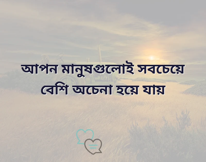 শেয়ার করার মতো ছবি