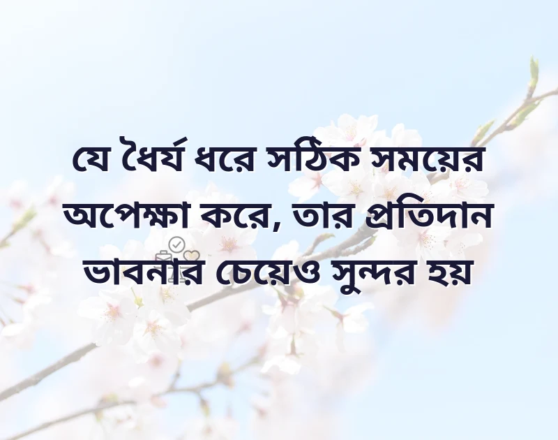 পছন্দের একটি ছবি