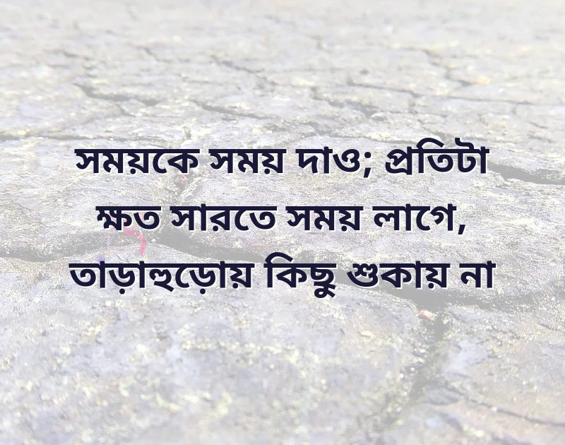 দারুণ একটি ছবি