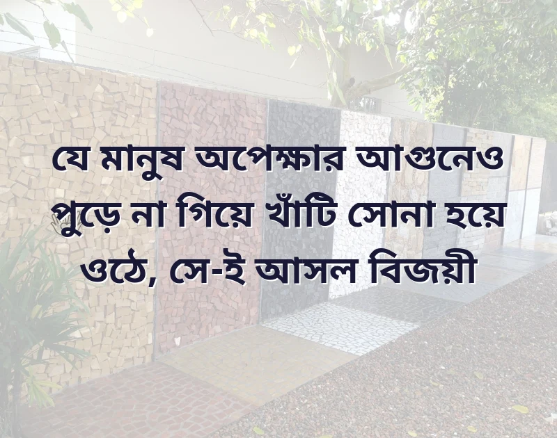 আকর্ষণীয় একটি ছবি
