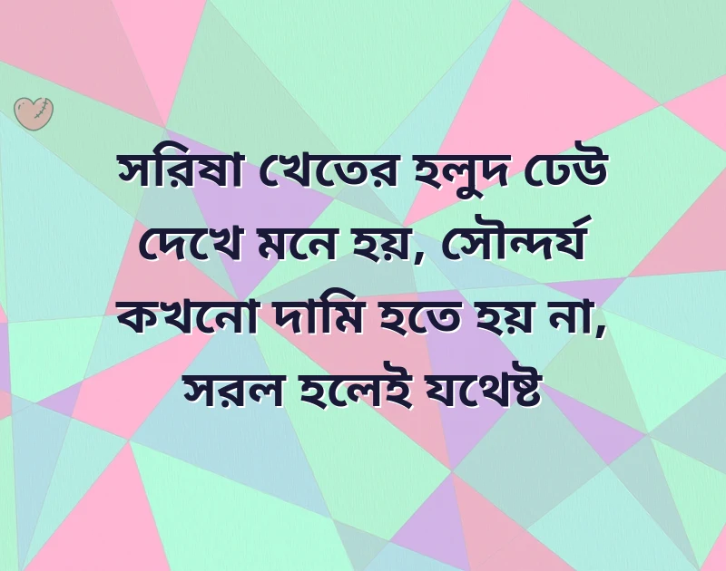 মন ছুঁয়ে যাওয়া ছবি