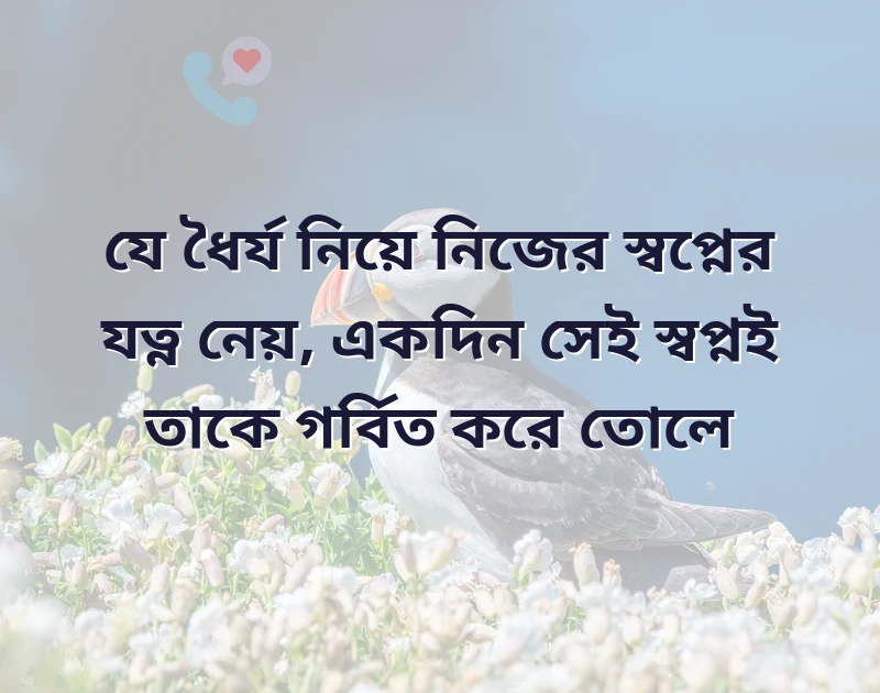 শেয়ার করার মতো ছবি